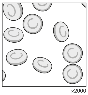 Fig. 2.2