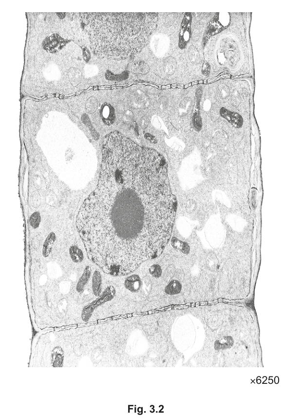 Fig. 3.2