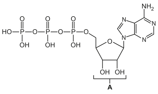 Fig. 4.1