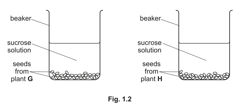 Fig. 1.2