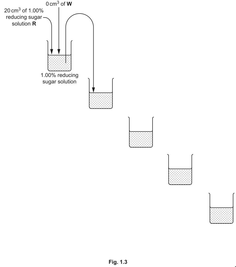 Fig. 1.3