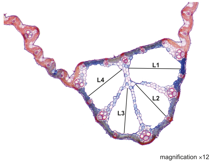 Fig. 2.2
