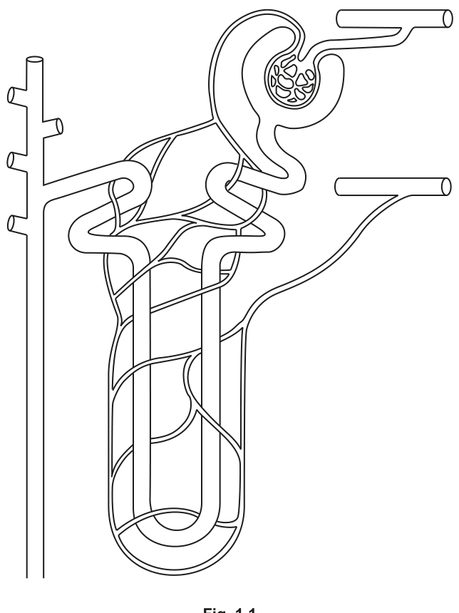 Fig. 1.1