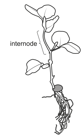 Fig. 2.1