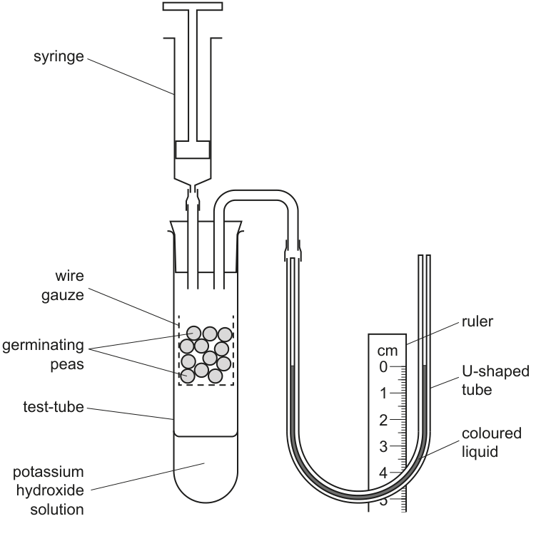 Fig. 6.1