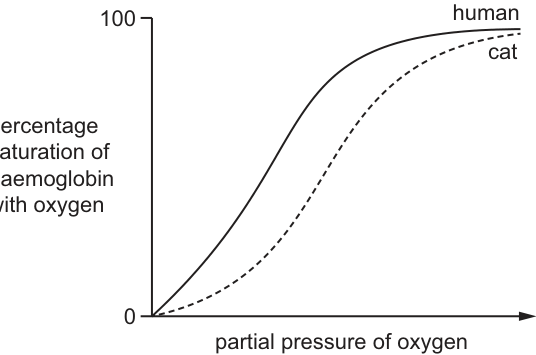 Fig. 28.1