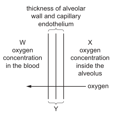 Fig. 31.1