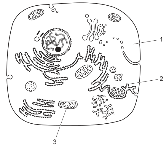 Fig. 3.1