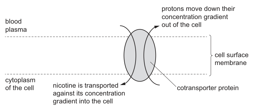 Fig. 13.1