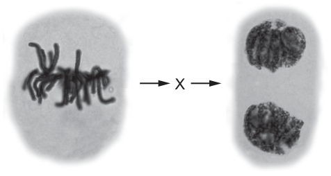 Fig. 18.1