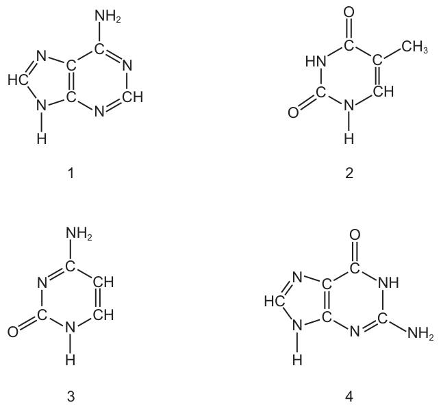 Fig. 21.1