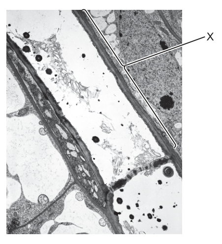Fig. 24.1