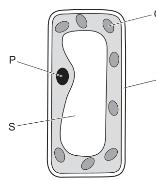 Fig. 2.1