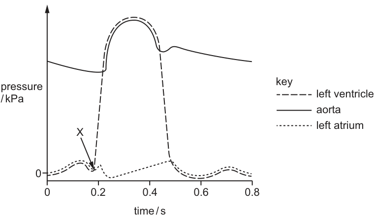 Fig. 29.1