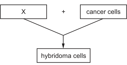 Fig. 40.1