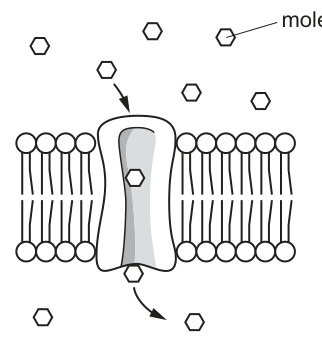Fig. 15.1