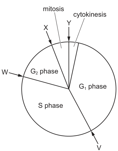 Fig. 19.1