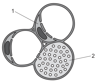 Fig. 25.1