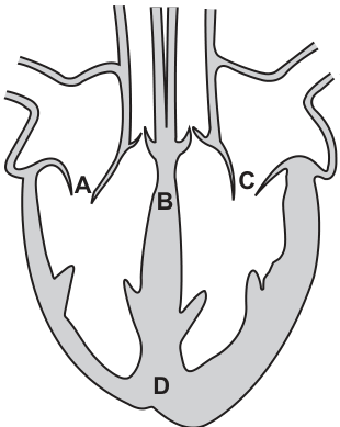 Fig. 28.1