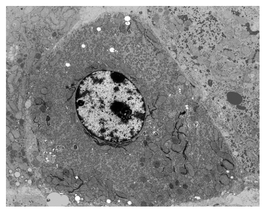 Fig. 2.1