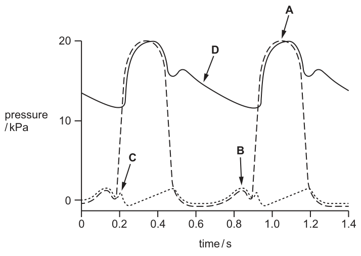 Fig. 29.1