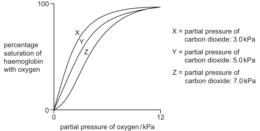 Fig. 31.1