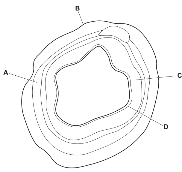 Fig. 35.1