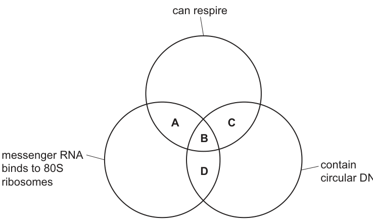 Fig. 3.1