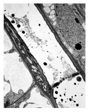 Fig. 27.1