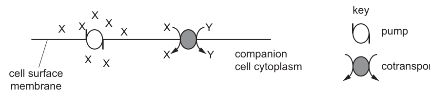 Fig. 28.1