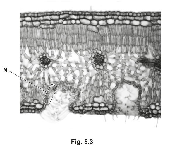 Fig. 5.3