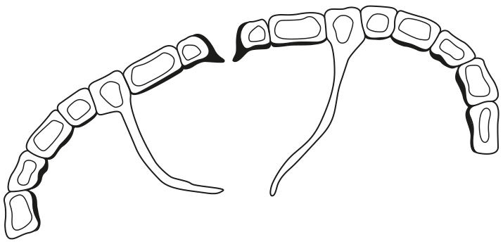 Fig. 5.4