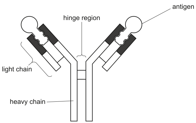 Fig. 6.1