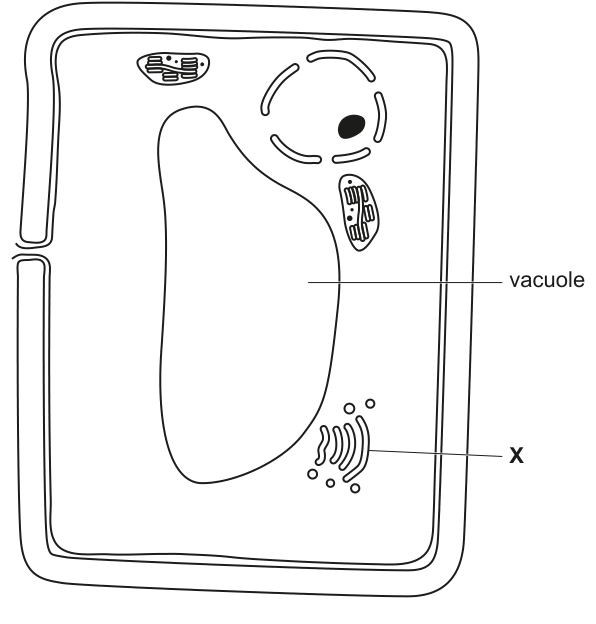 Fig. 1.2