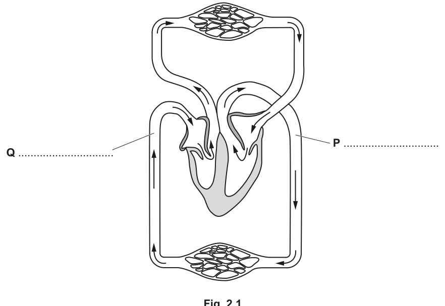 Fig. 2.1