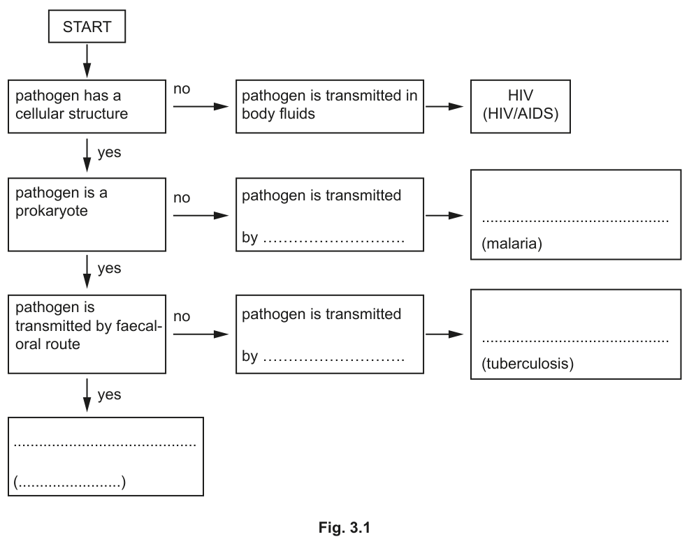 Fig. 3.1