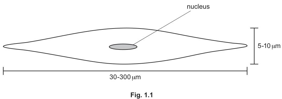 Fig. 1.1