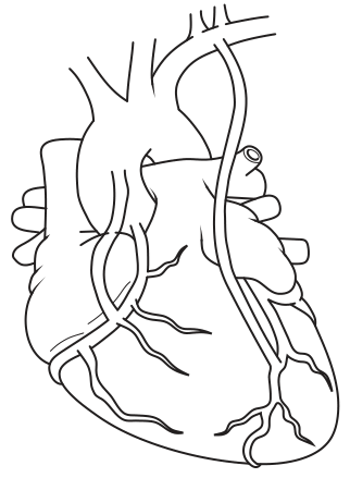 Fig. 6.1