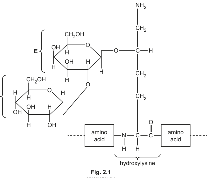 Fig. 2.1
