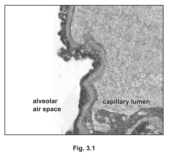Fig. 3.1