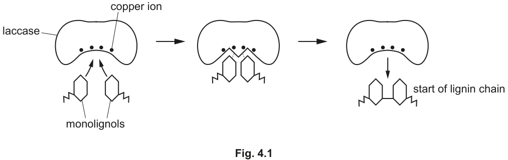 Fig. 4.1
