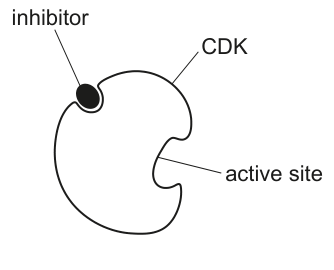 Fig. 5.1
