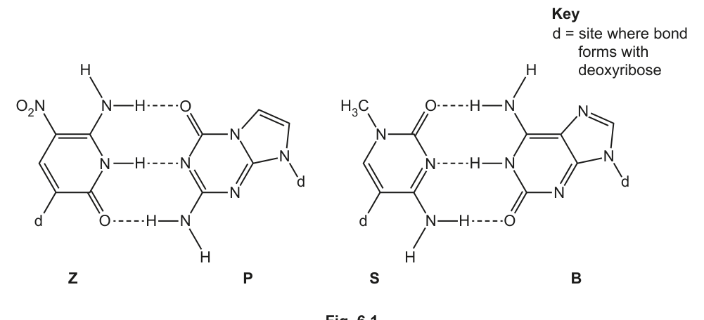 Fig. 6.1