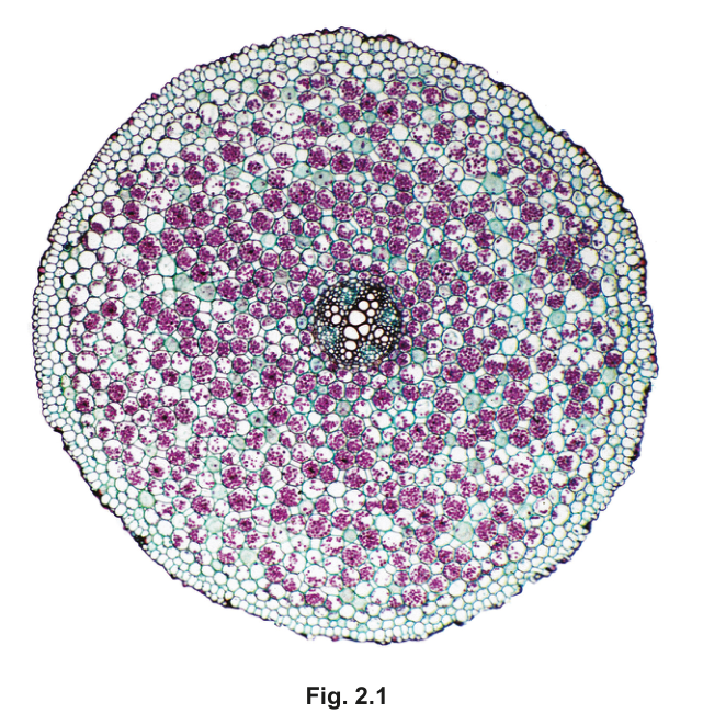 Fig. 2.1