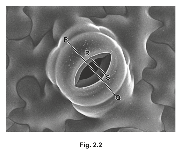 Fig. 2.2
