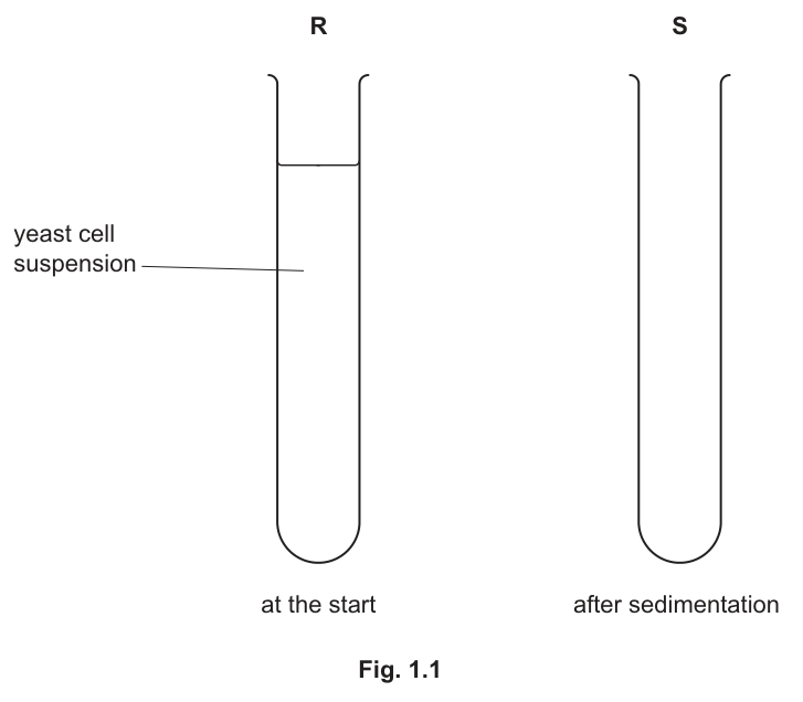 Fig. 1.1
