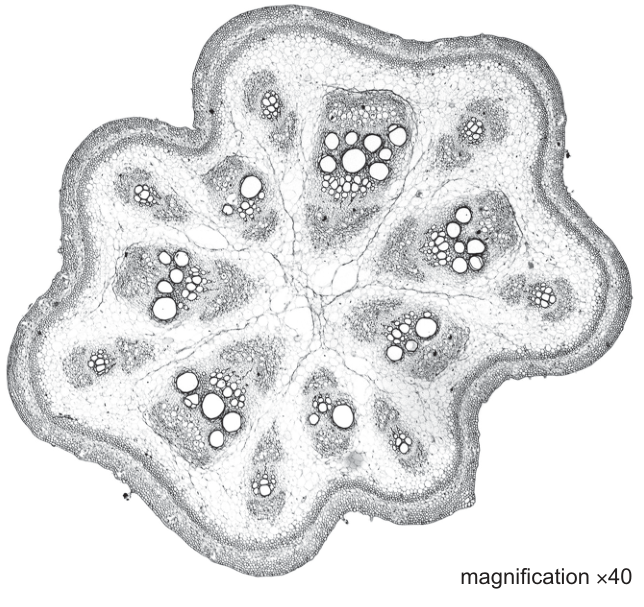Fig. 2.2