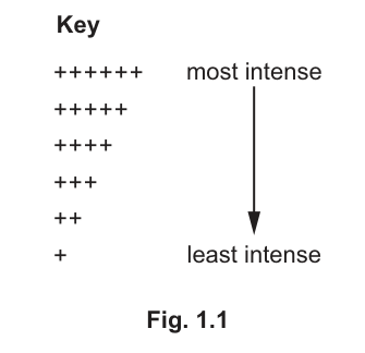 Fig. 1.1