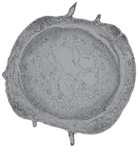 Fig. 2.2
