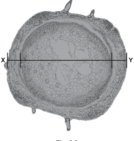 Fig. 2.3